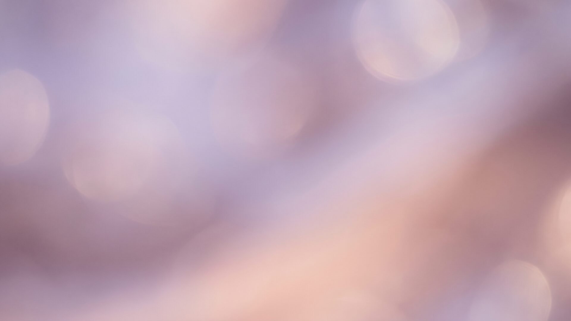 부드러운 라벤더·라일락 파스텔 그라디언트 배경