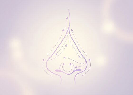 맞춤 설계 단계 개념 일러스트 (AI 생성 예시)
