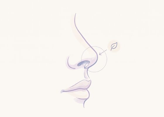 조직 채취 단계 개념 일러스트 (AI 생성 예시)