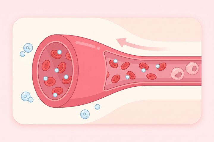 평상시 1기압 혈관 단면 개념도 — 적혈구에 결합하지 못한 산소분자가 혈관벽에 남는 모습