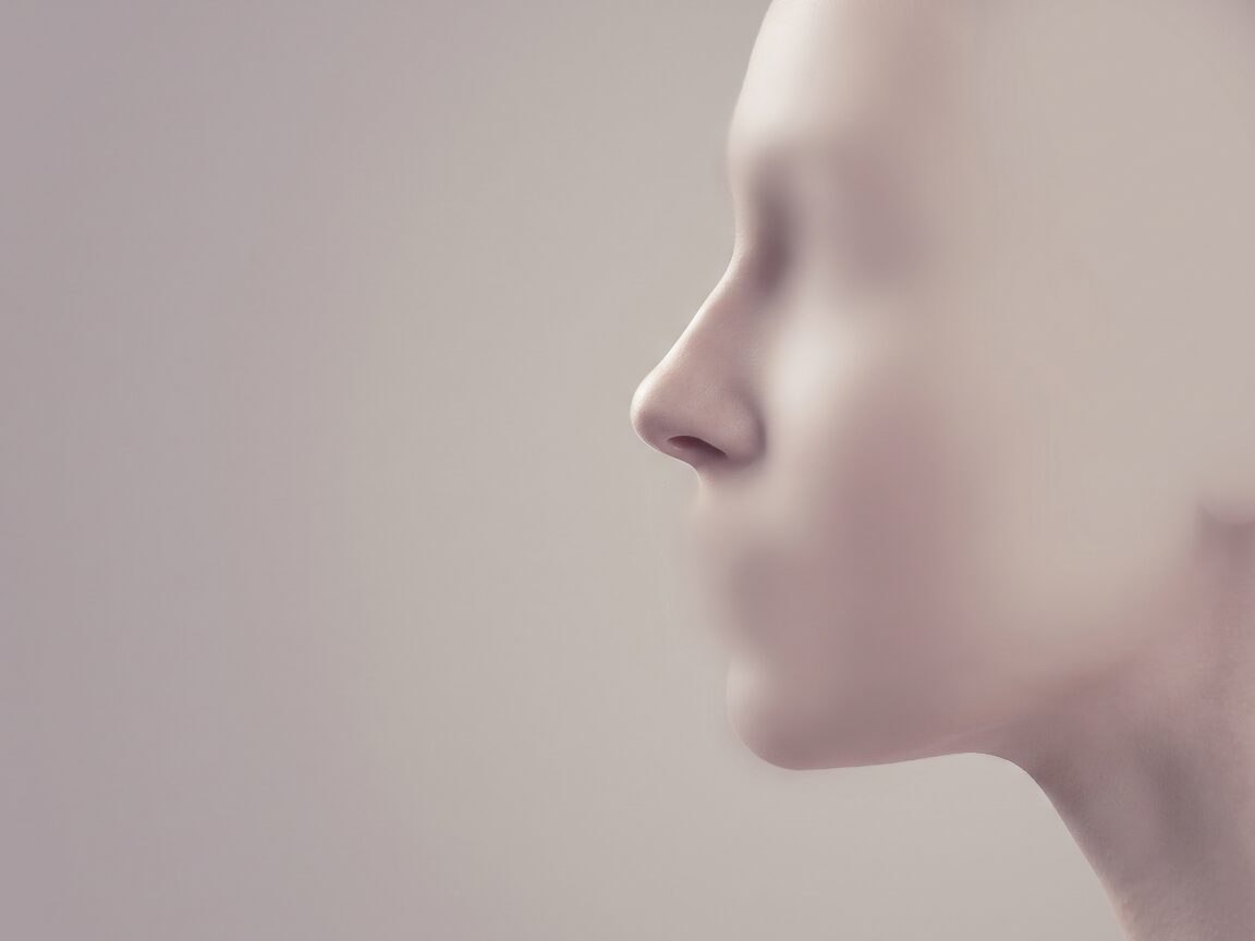 무보형물 코성형 후 라인 컨셉의 비식별 개념 예시 이미지 (AI 생성)