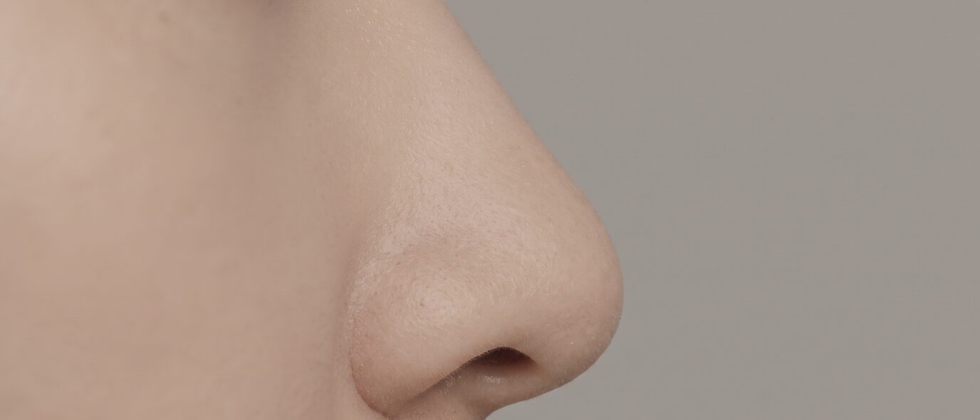 화살코 형태를 설명하기 위한 비식별 개념 이미지