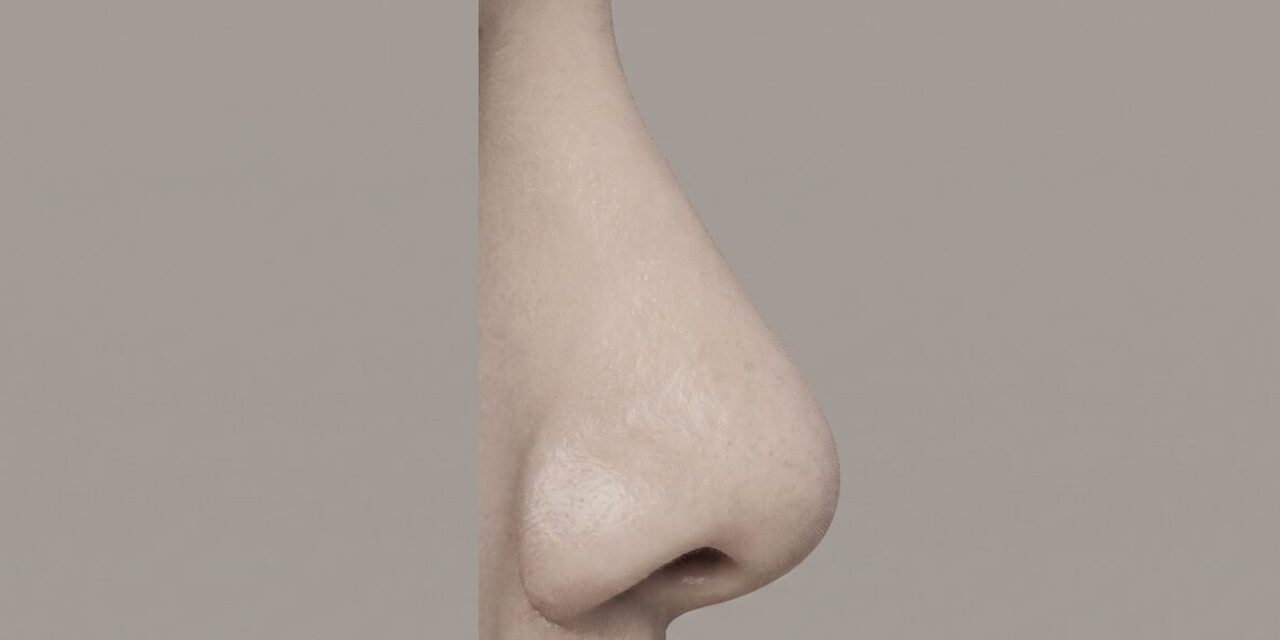 휜코 유형의 변화를 보여주는 개념 2분할 이미지 (AI 생성 예시 이미지)