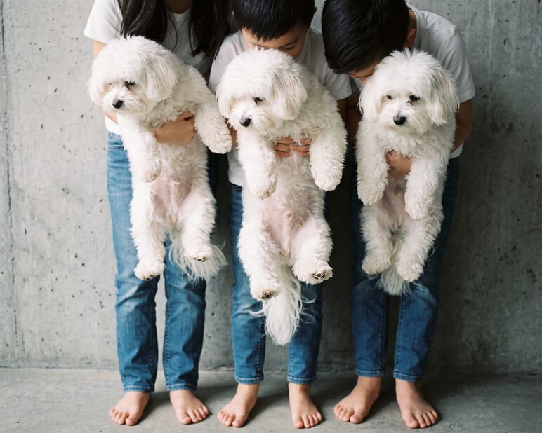 회색 벽 앞에서 흰 소형견을 품에 안은 가족의 전신 실루엣