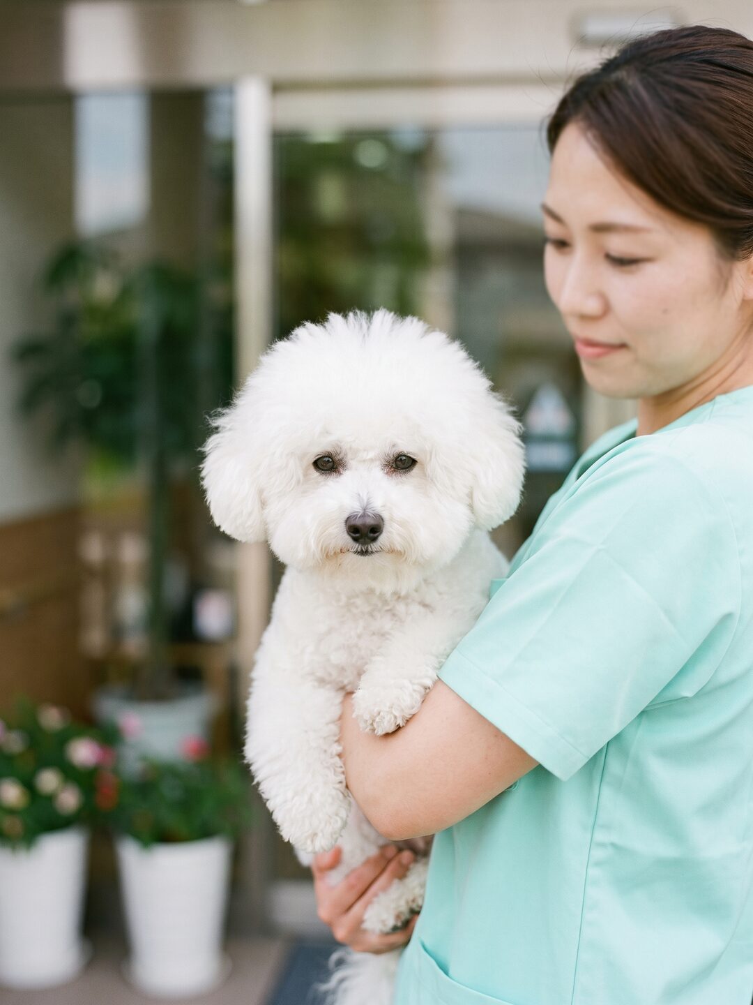 리뷰티 펫 케어 진료팀이 흰 소형견을 품에 안고 있는 모습