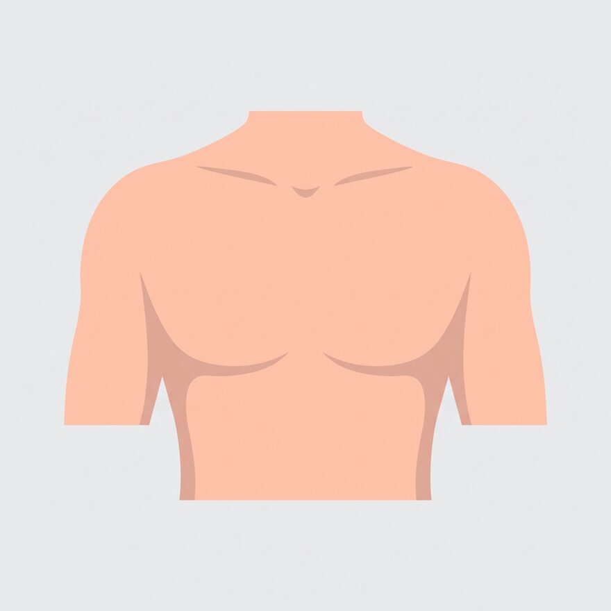 표시선과 기구가 모두 없는 평평하고 매끈한 남성 흉부 정면 4단계 완료 도해