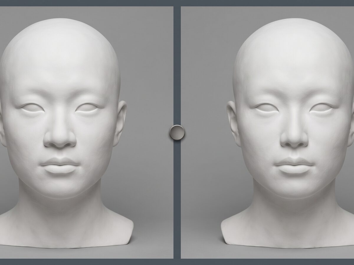 정면에서 본 코 형태 변화 비교 개념 이미지 — 비식별 석고 모형 2분할
